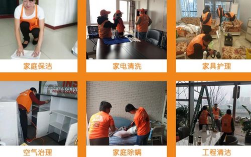 齊潔健康家政加盟投資與核心優勢解析