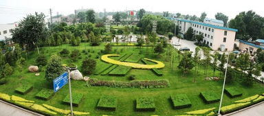 鋼好40年 安鋼勇立潮頭唱大風