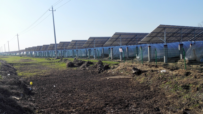 灌南宏耀環(huán)保17MW農(nóng)光互補(bǔ)光伏發(fā)電項(xiàng)目位于縣經(jīng)濟(jì)開(kāi)發(fā)區(qū)_江蘇文明網(wǎng)