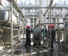 龔臘梅 環(huán)保公司有機(jī)廠全面 打響 2017年大檢修技改 攻堅(jiān)戰(zhàn)